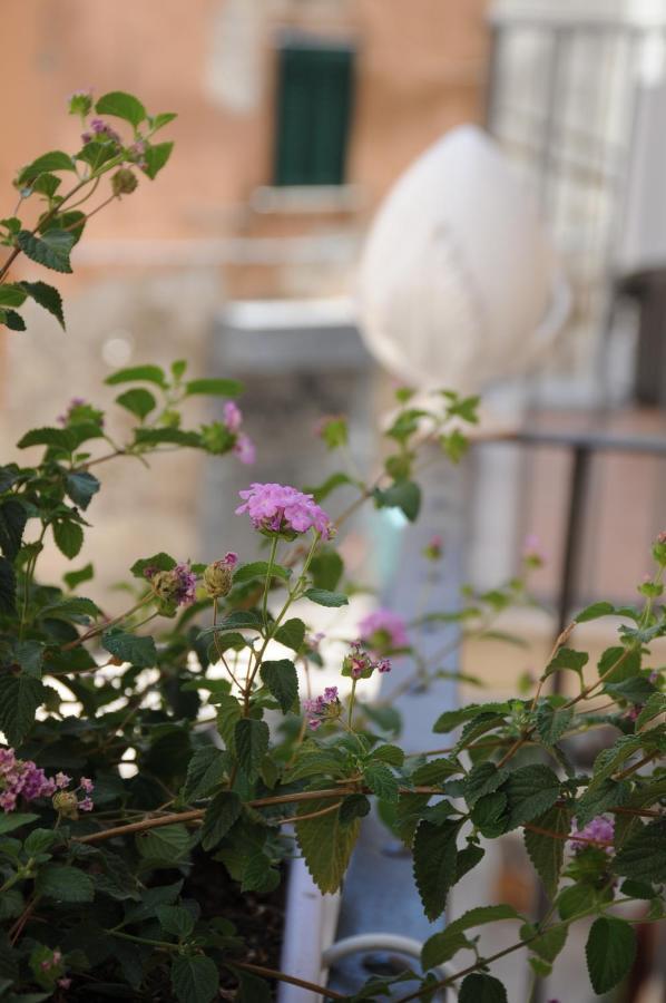 B&B Vin E Va Bari Exterior foto